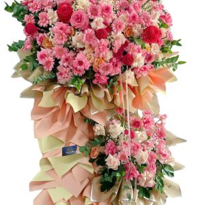 Đôn hoa chúc mừng-ĐH075